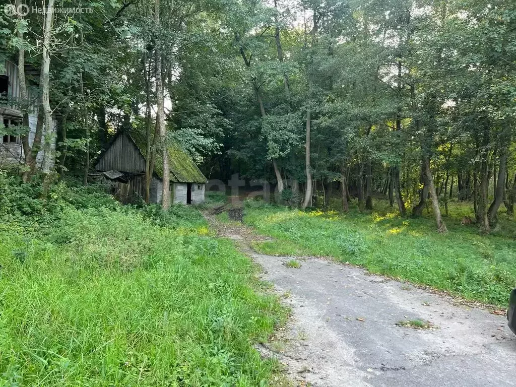 Участок в Калининградская область, Гурьевский муниципальный округ, ... - Фото 0