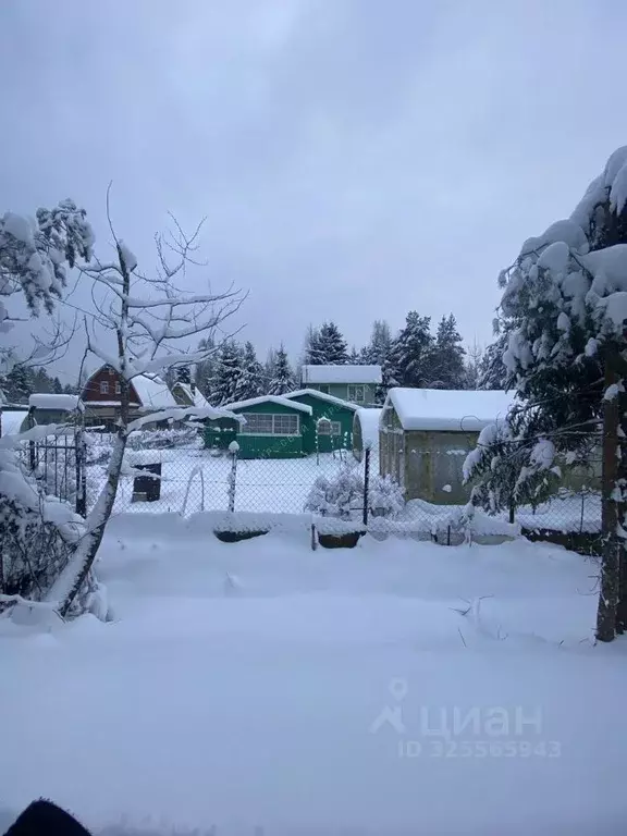 Дом в Ленинградская область, Тосненский район, Форносовское городское ... - Фото 2