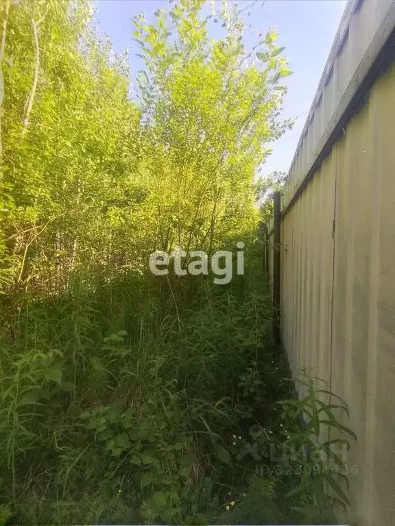 Участок в Ленинградская область, Лужский район, Мшинское с/пос, ... - Фото 2