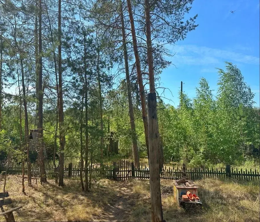 Участок в Саха (Якутия), Якутск Сергеляхское шоссе, 10-й км (13.0 ... - Фото 2