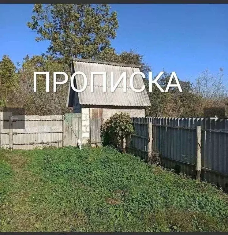 Дом в Белгородская область, Белгородский район, Комсомольское с/пос, ... - Фото 1