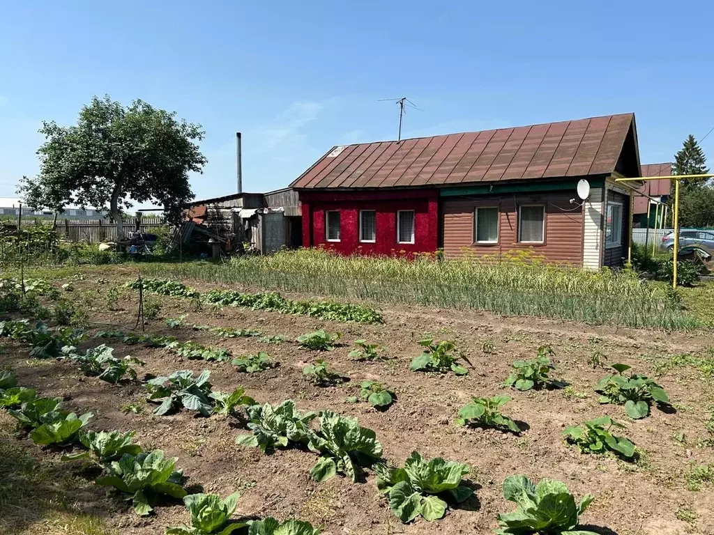 Дом в Татарстан, Пестречинский район, с. Шали ул. Вахитова (60 м) - Фото 2