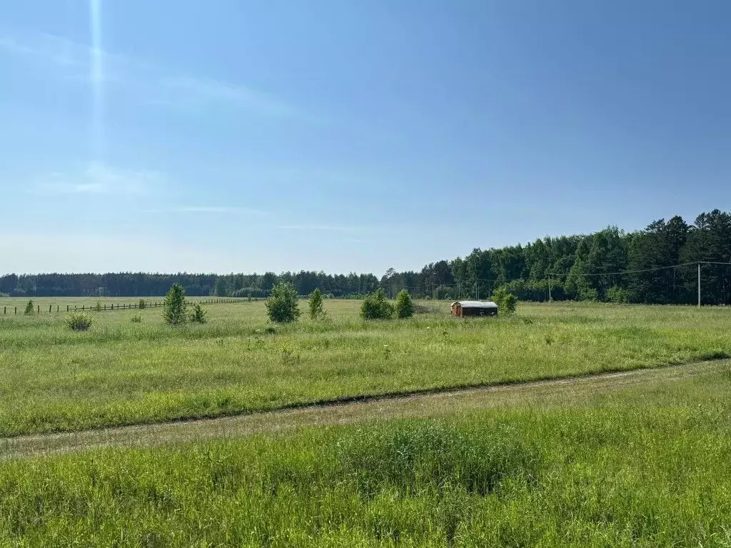 Участок в Красноярский край, Емельяново городское поселение  (2.5 ... - Фото 0