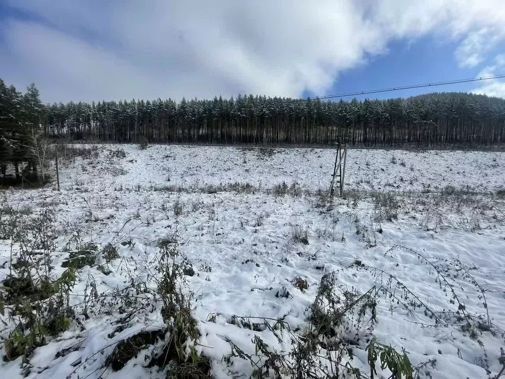 Участок в Алтайский край, Алтайский район, с. Нижнекаянча ул. ... - Фото 1