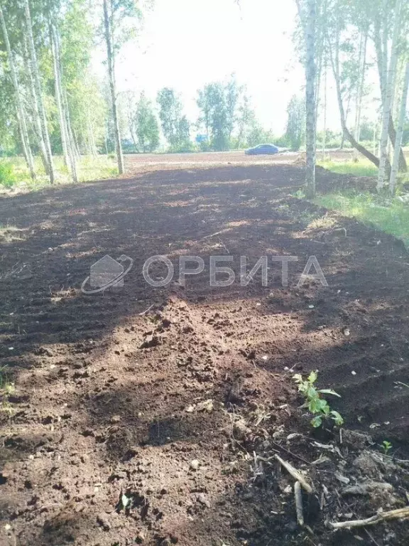 Участок в Тюменская область, Нижнетавдинский район, Строитель ТСН  ... - Фото 0