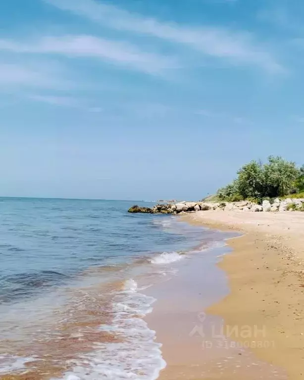 Участок в Краснодарский край, Темрюкский район, Запорожское с/пос, ... - Фото 0