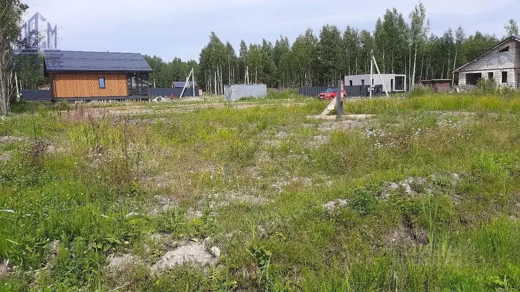 Участок в Ленинградская область, Всеволожский район, Рахьинское ... - Фото 1