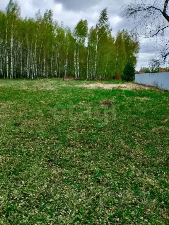 Участок в Владимирская область, Покров городской округ, д. Масляные ... - Фото 0