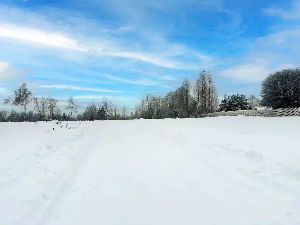Участок в Московская область, Дмитровский муниципальный округ, Ерыково ... - Фото 2