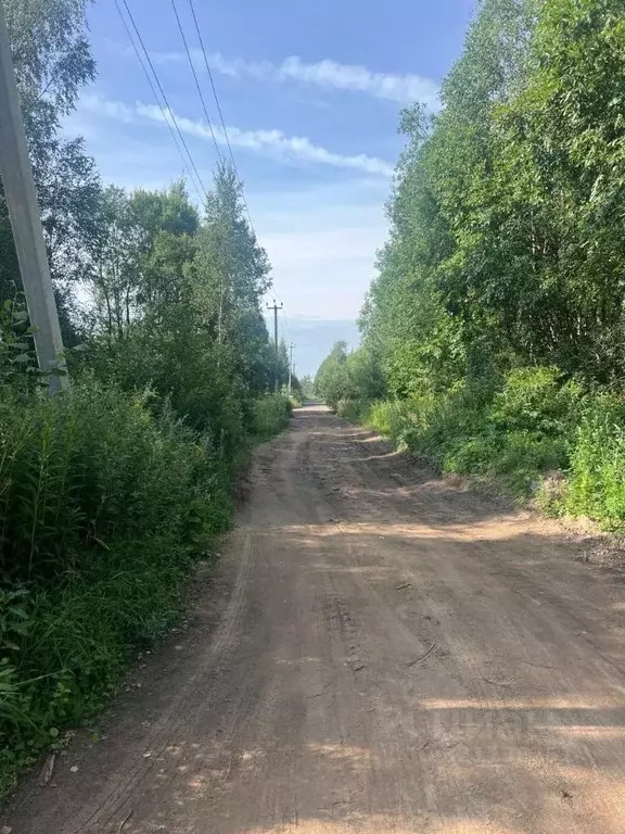 Участок в Ленинградская область, Всеволожское городское поселение  ... - Фото 1
