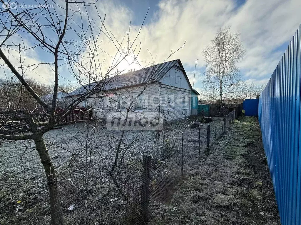 Дом в Измалково, Рабочая улица, 8 (45 м) - Фото 1