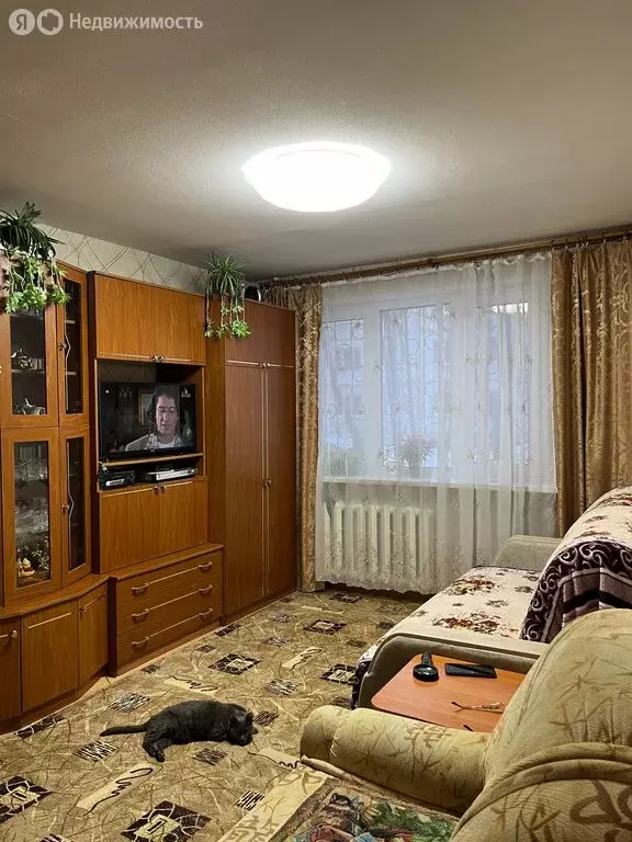 2-комнатная квартира: Екатеринбург, Педагогическая улица, 18 (44.8 м) - Фото 0