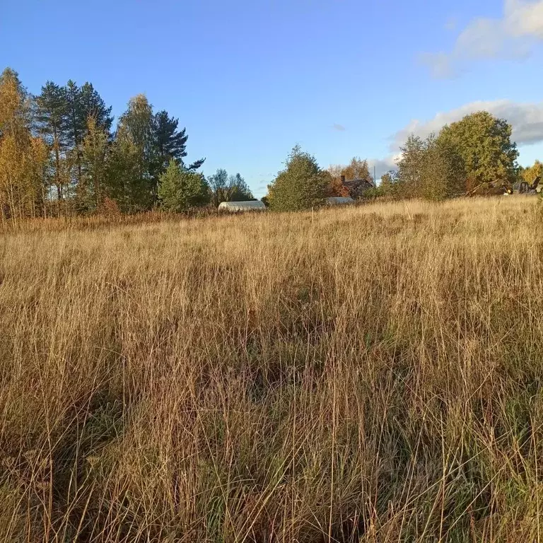 Участок в Ленинградская область, Приозерский район, Красноозерное ... - Фото 1