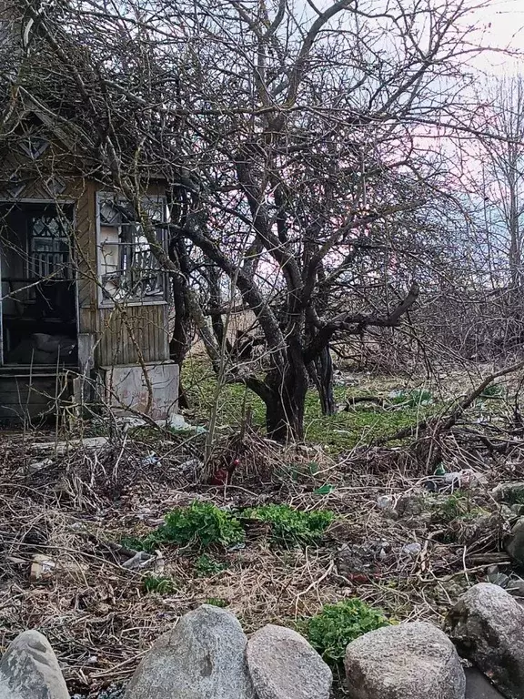 Участок в Ленинградская область, Ломоносовский район, д. Гостилицы ул. ... - Фото 2