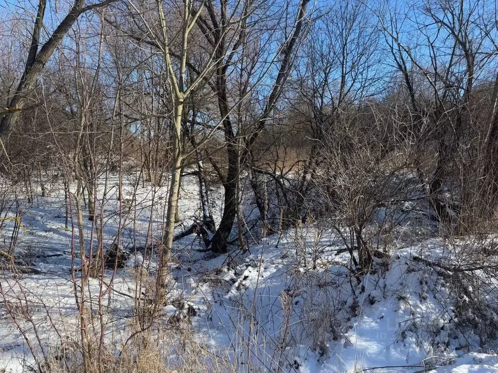 Участок в Московская область, Кашира городской округ, д. Колтово  ... - Фото 0