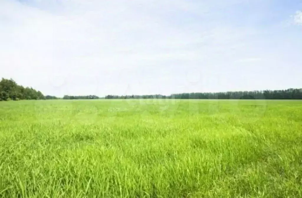 Участок в Калужская область, Дзержинский район, Совхоз имени Ленина ... - Фото 1