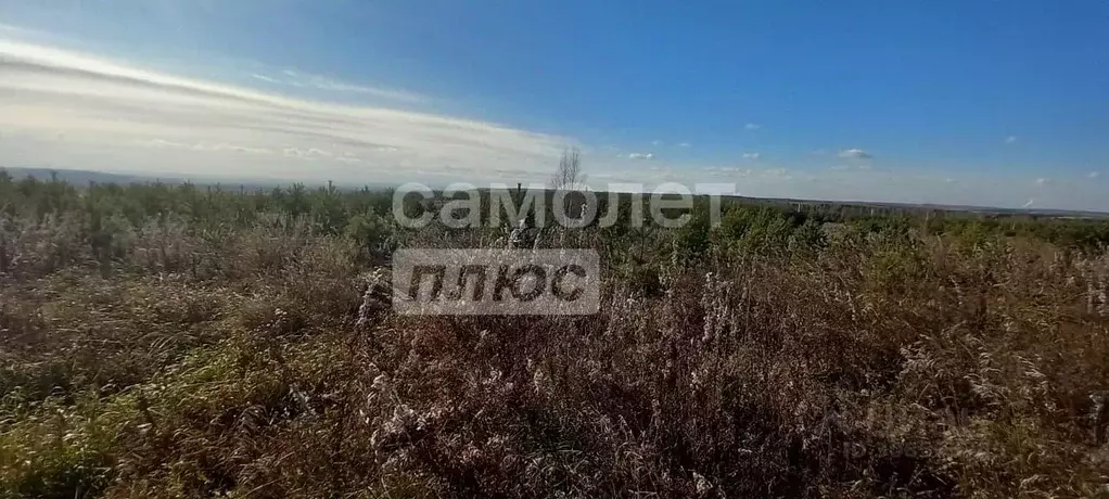 Участок в Иркутская область, Иркутский район, Уриковское муниципальное ... - Фото 1