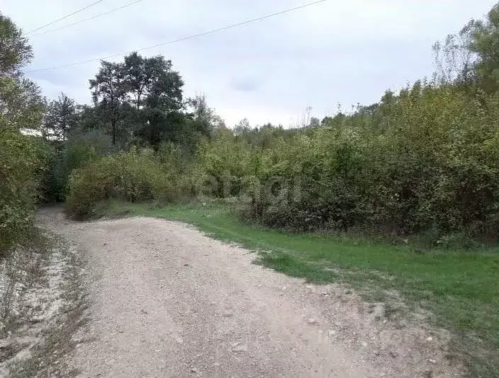 Участок в Краснодарский край, Геленджик городской округ, с. Адербиевка ... - Фото 2