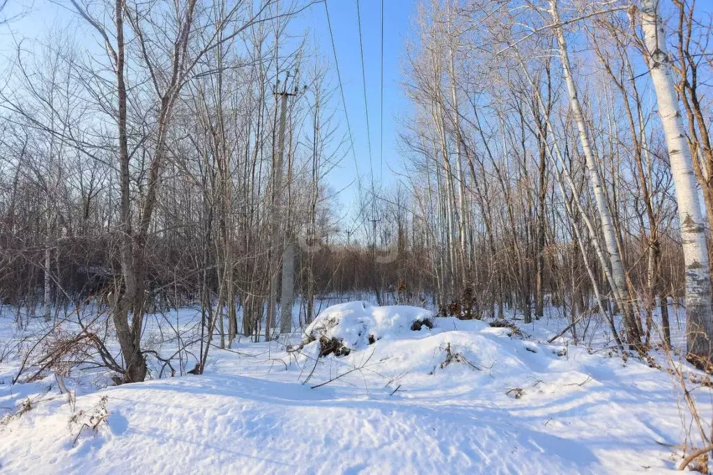 Участок в Хабаровский край, Хабаровский район, с. Корсаково-2  (10.0 ... - Фото 1