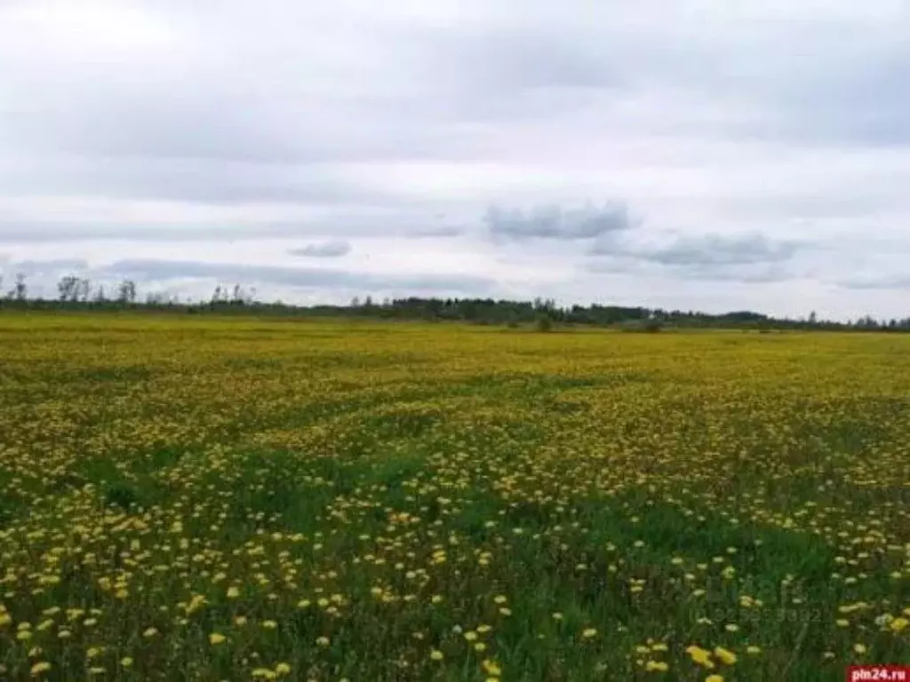 Участок в Саха (Якутия), Якутск городской округ, с. Хатассы  (10.0 ... - Фото 1