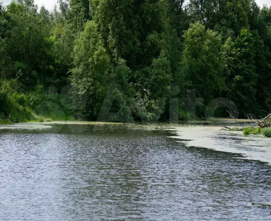 Участок 10 сот. (ИЖС) - Фото 1