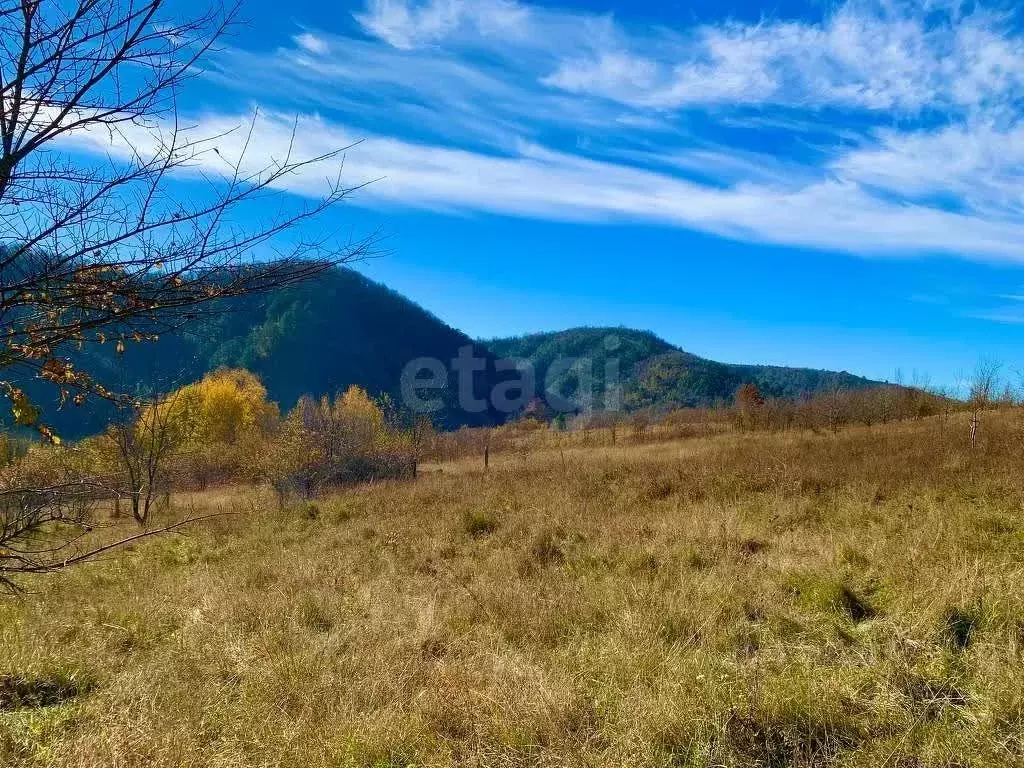 Участок в Краснодарский край, Геленджик городской округ, с. Тешебс  ... - Фото 1