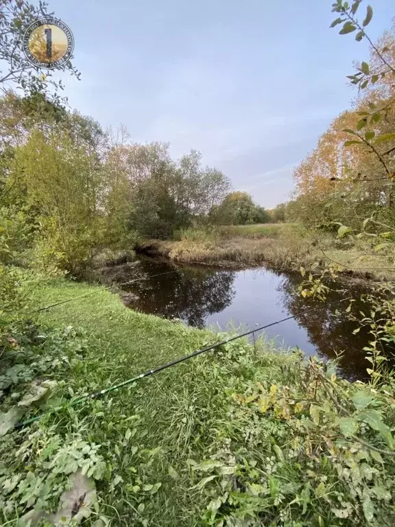 Участок в Вологодская область, Череповецкий район, д. Парфеново  (8.0 ... - Фото 1