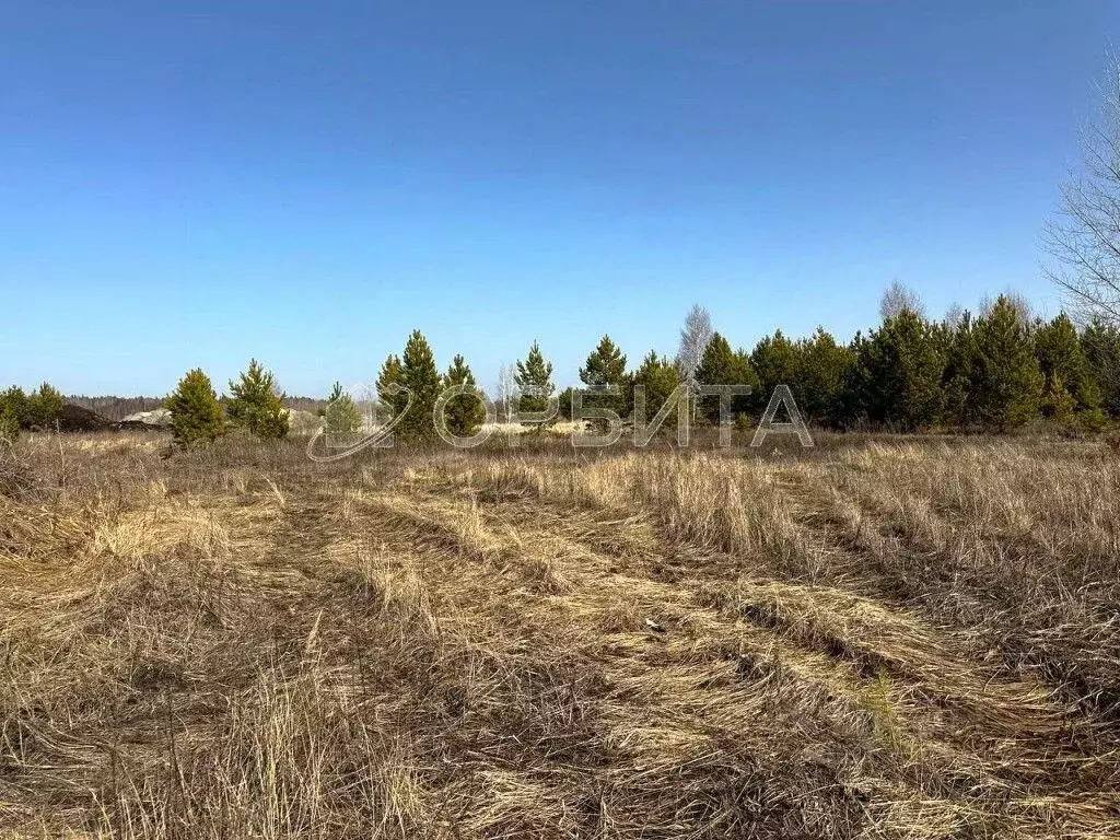 Участок в Тюменская область, Нижнетавдинский район, Сундукульский ... - Фото 1