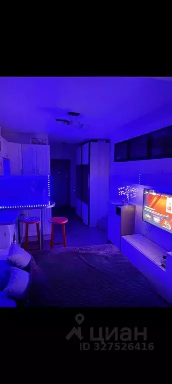 Студия Ростовская область, Ростов-на-Дону ул. Черевичкина, 91Ас1 (23.0 ... - Фото 1