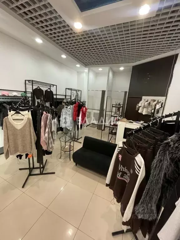 Помещение свободного назначения в Тульская область, Тула ул. ... - Фото 2