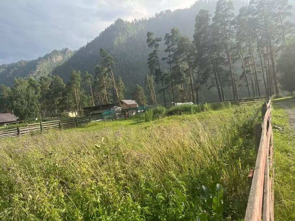 Участок в Алтай, Чемальский район, с. Чепош Родниковая ул. (14.0 сот.) - Фото 2
