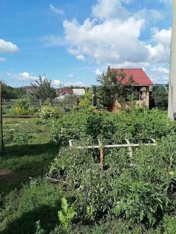 Участок в Самарская область, Самара Береза-1 СДТ,  (6.0 сот.) - Фото 1
