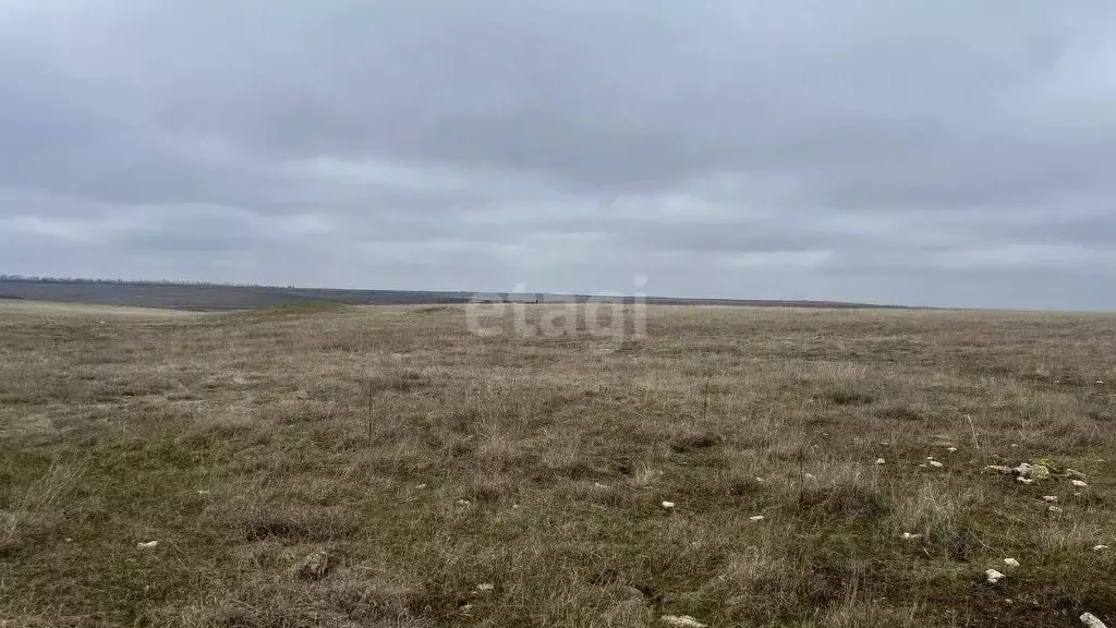 Участок в Крым, Белогорский район, с. Русаковка  (242.9 сот.) - Фото 0