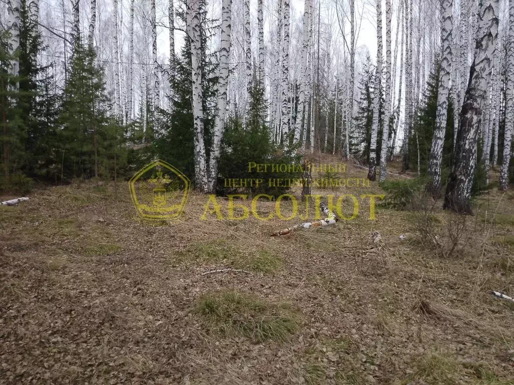 Участок в Свердловская область, Дегтярск ул. Солнечная, 23 (10.0 сот.) - Фото 2
