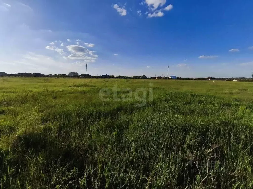 Участок в Белгородская область, Белгородский район, Никольское с/пос, ... - Фото 0