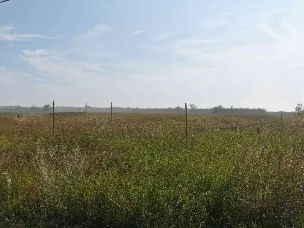 Участок в Самарская область, Ставропольский район, с. Подстепки ул. ... - Фото 1