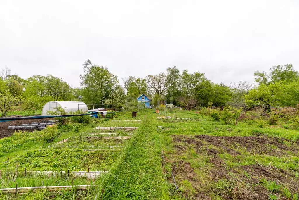 Село ильинка хабаровский