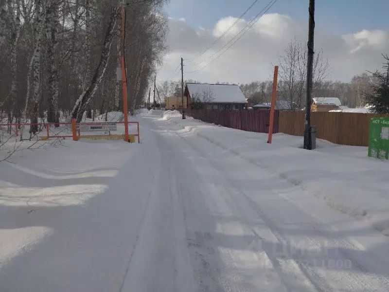 Участок в Новосибирская область, Новосибирский район, Барышевский ... - Фото 2