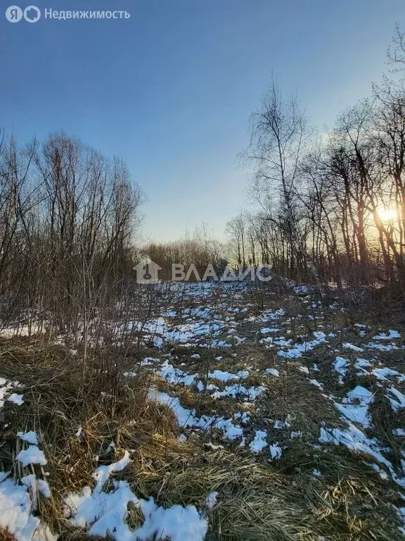 Участок в Ленинский городской округ, село Булатниково (71 м) - Фото 0