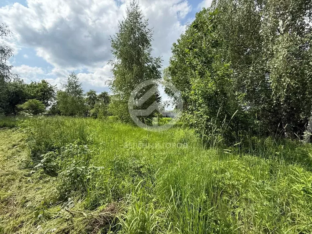 Участок в Московская область, Химки городской округ, д. Рузино проезд ... - Фото 1