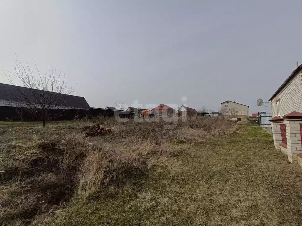 Участок в Белгородская область, Вейделевка рп ул. Зеленая, 5 (15.09 ... - Фото 1