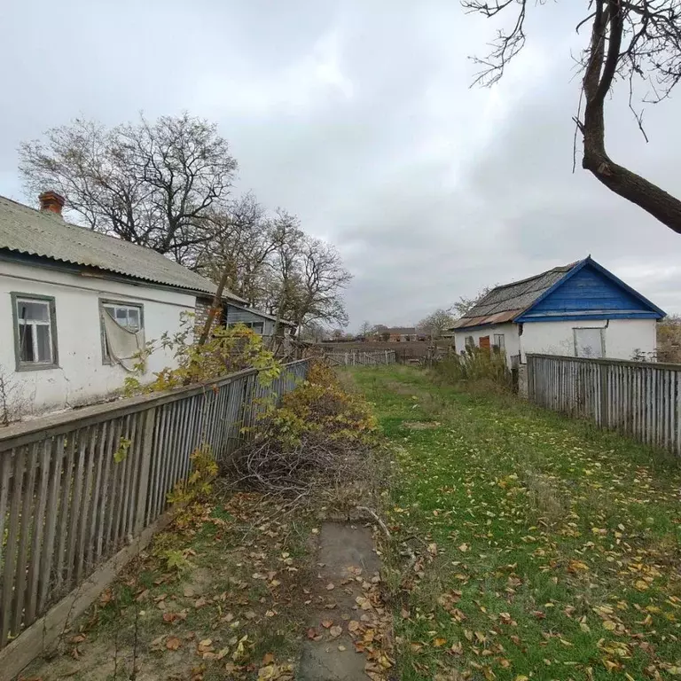 Дом в Краснодарский край, Щербиновский район, с. Николаевка ул. ... - Фото 2