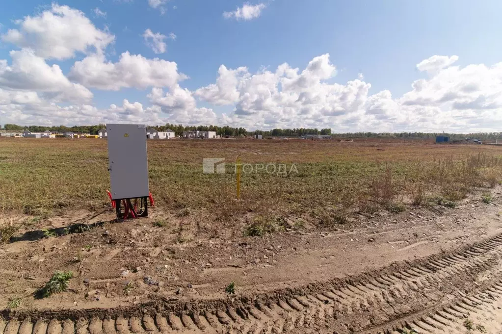 Участок в Алтайский край, Первомайский район, с. Фирсово ул. Ивана ... - Фото 2