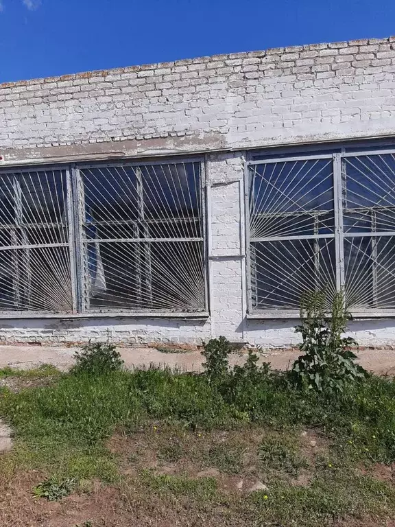 Помещение свободного назначения в Волгоградская область, ... - Фото 1