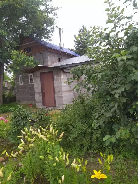 Дом в Новосибирская область, Новосибирск Пашино мкр, пер. ... - Фото 2