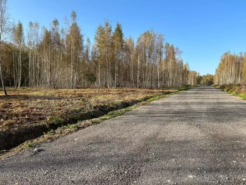 Участок 6 сот. (ИЖС) - Фото 1