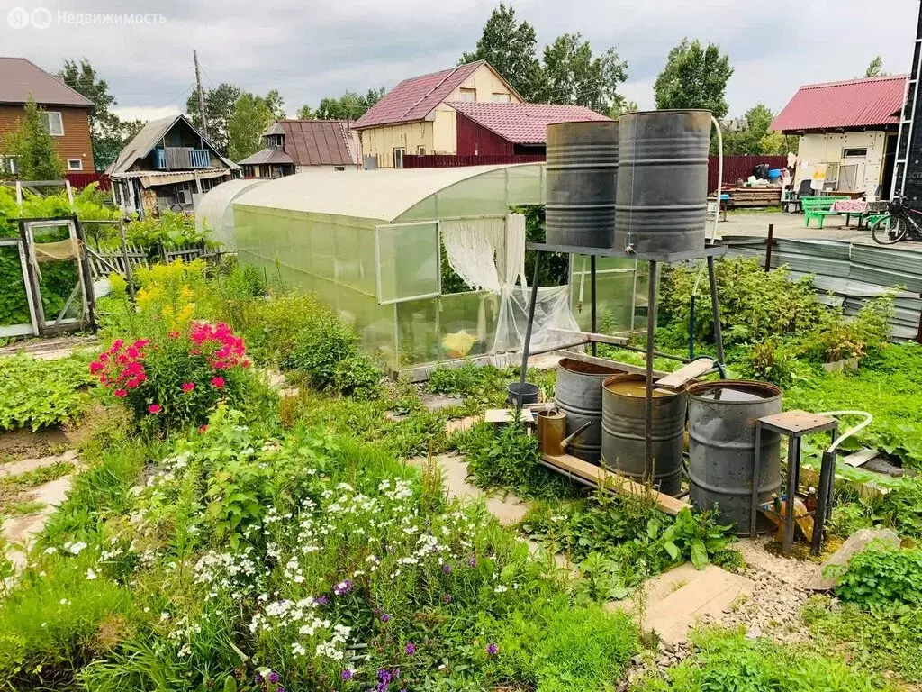 Участок в Южно-Сахалинск, СНТ Айболит-86, Сиреневая улица (6.5 м) - Фото 1