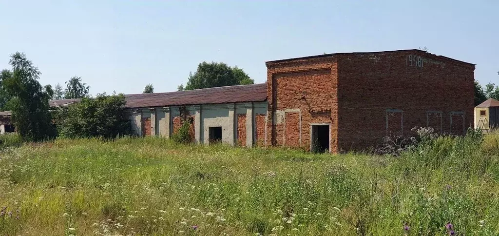 Помещение свободного назначения в Тюменская область, Тобольский район, ... - Фото 0