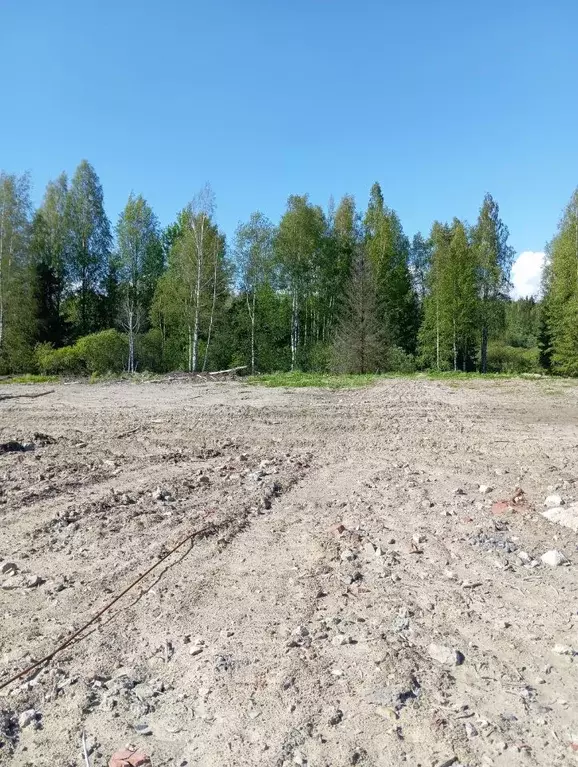 Участок в Ленинградская область, Всеволожский район, Бугровское ... - Фото 1