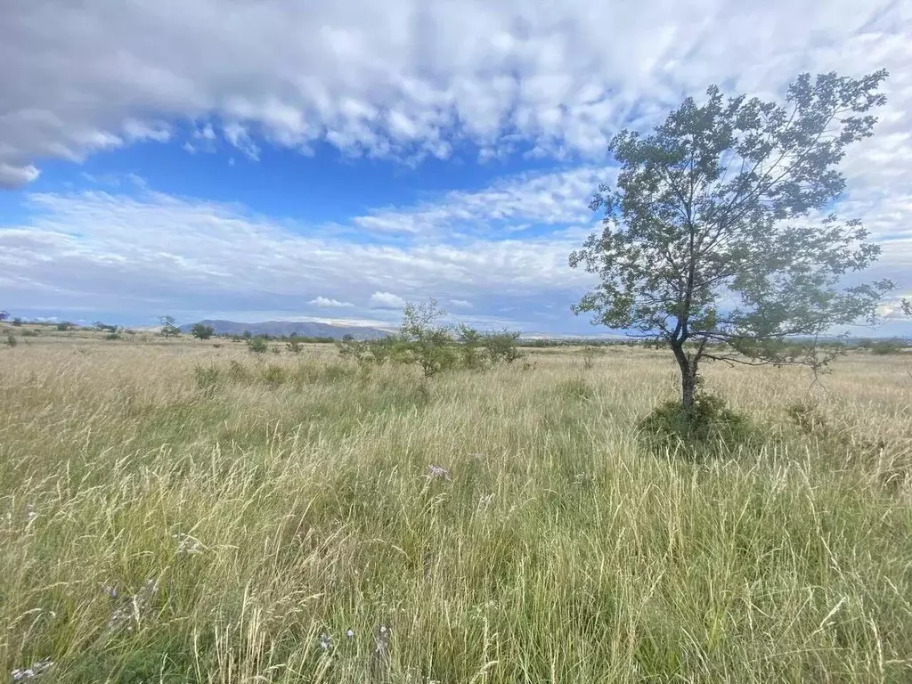 Участок в Хакасия, Усть-Абакан рп ул. Октябрьская (10.0 сот.) - Фото 0